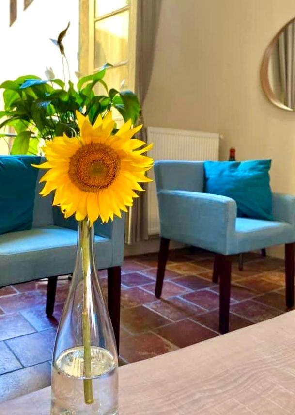 Apartment Albert Каркасон Екстериор снимка